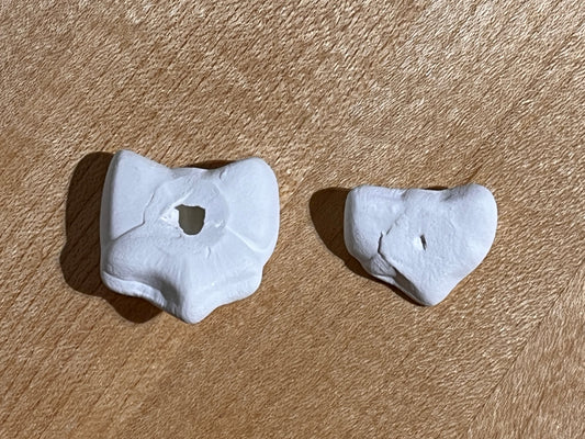 CLEARANCE - Small Bisquie - Clothing Bow ~ approx. 1 x 1