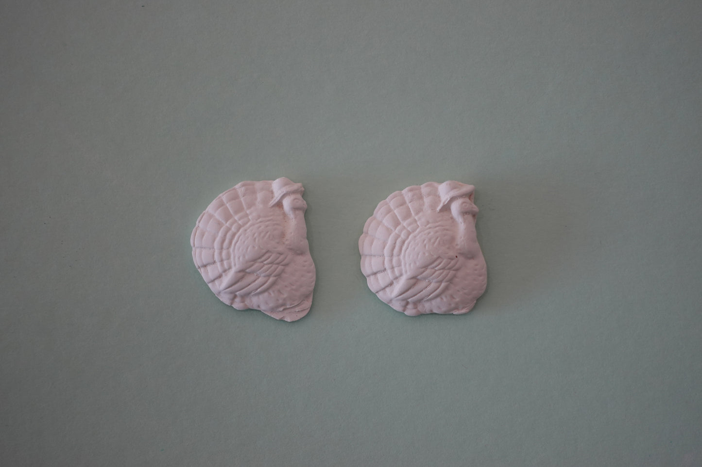 BUNDLE: 2 flat turkeys