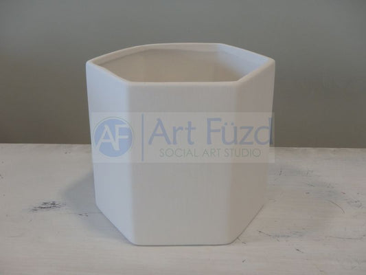 Sechseckiger Pflanzkübel ~ 5,75 x 5,5 x 5,25