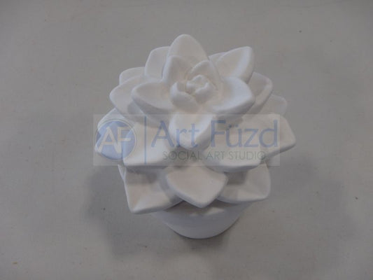 Sweet Flower Succulent in Flower Pot Figurine ~ 5.25 x 5.25 x 4.5