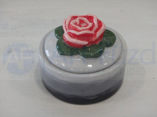 Succulent Box ~ 4 in. dia. x 3 in. high