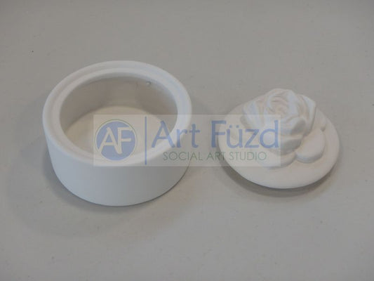 Succulent Box ~ 4 in. dia. x 3 in. high