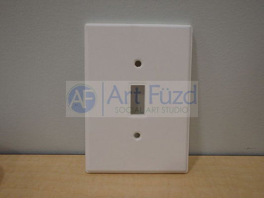 Single Light Switch Plate ~ 3.5 x 5
