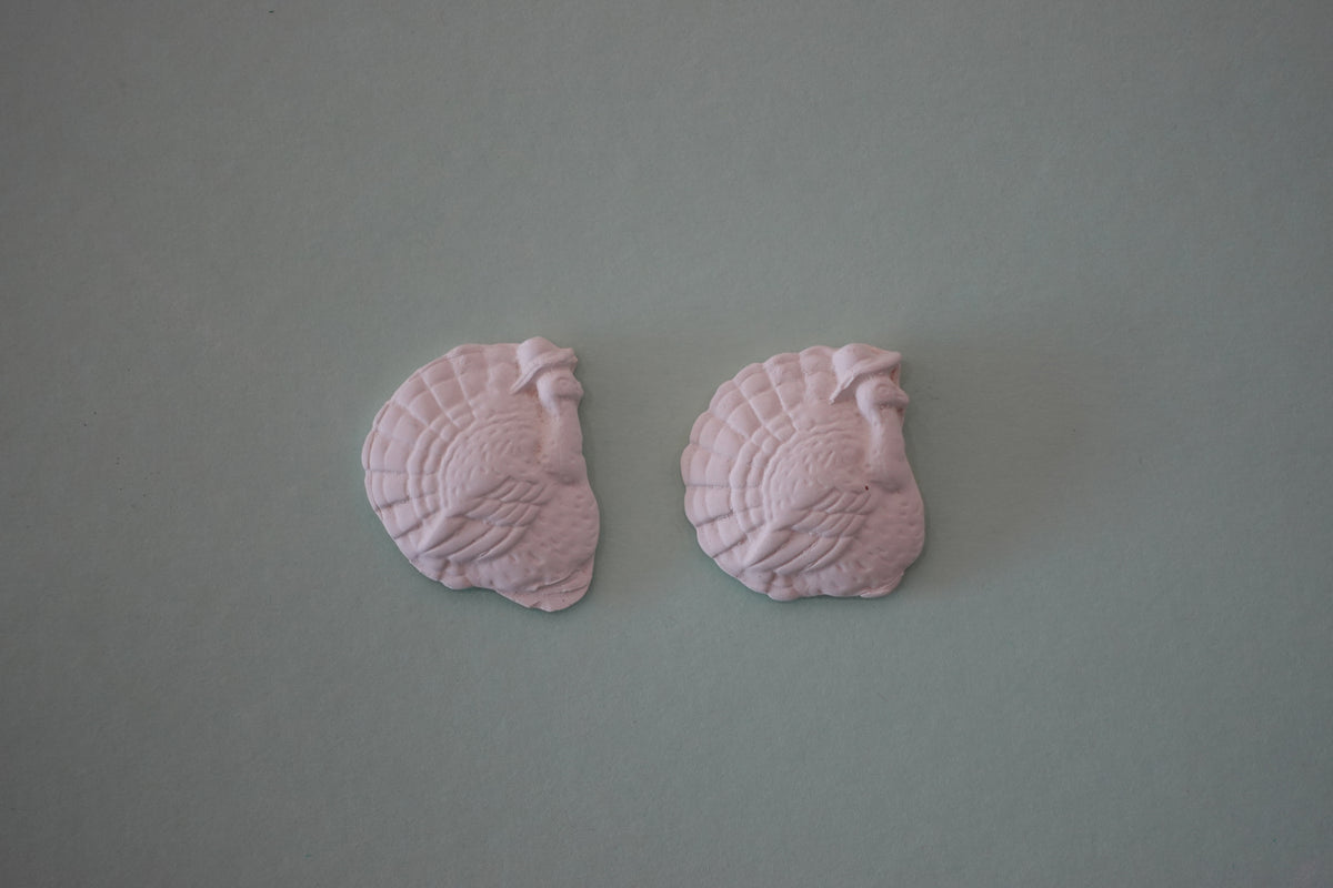BUNDLE:  2 flat turkeys