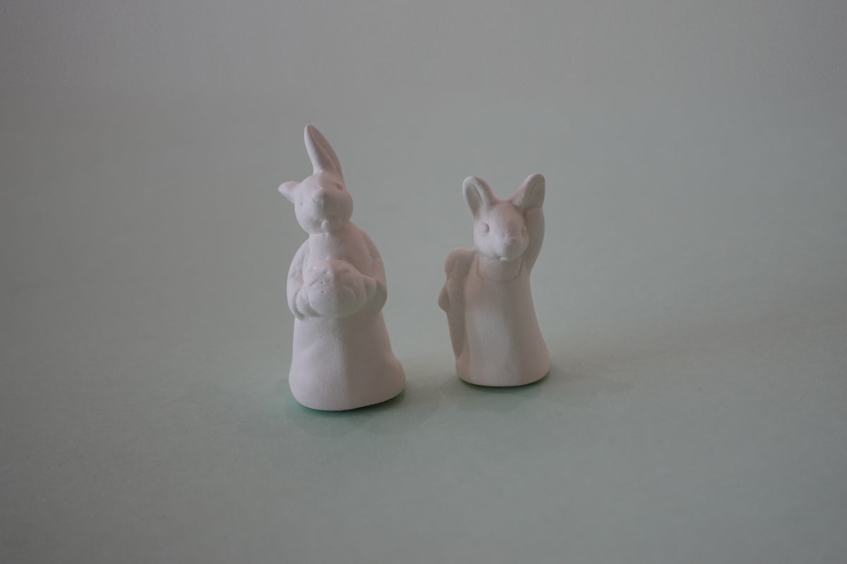 Bundle:  2 mini bunnies (assorted) ($28)