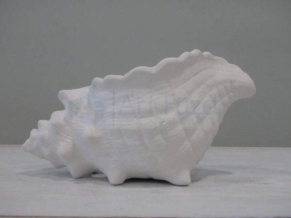 Realistic Conch Shell Planter, includes Stopper ~ 7.25 x 4 x 3.75