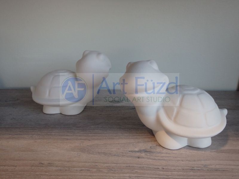 Turtle Party Animal ~ 3.5 in. high
