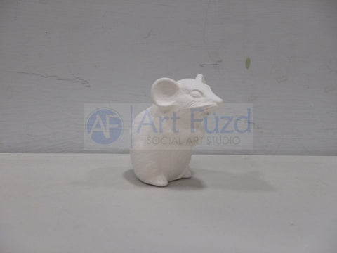 Small Realistic Chubby Mouse